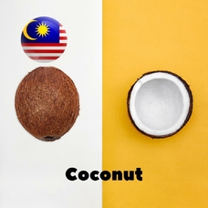 Malaysia flavors "Coconut"