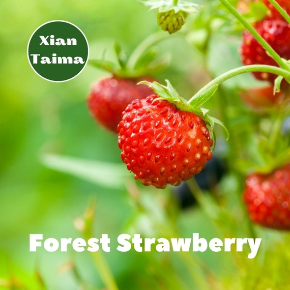 Отзывы на Ароматизтор Xi'an Taima Forest Strawberry Земляника