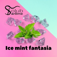 Solub Arome "Ice mint fantasia" (Мята ментол и куллер)