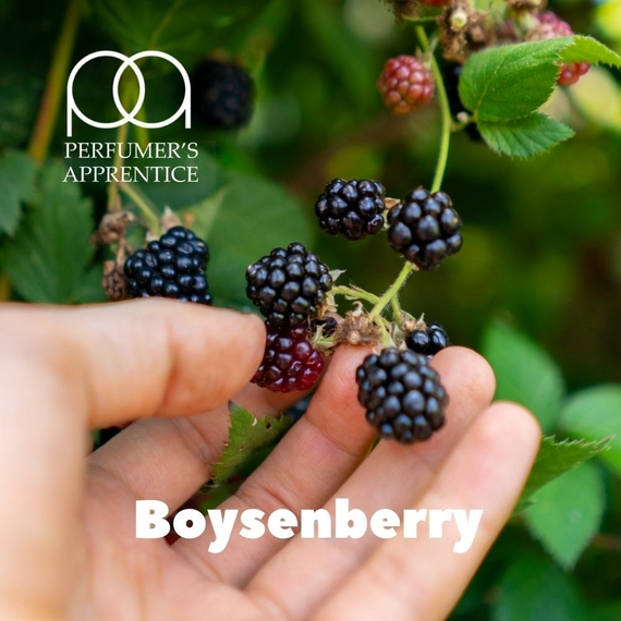 Aroma TPA Boysenberry Бойзенова ягода