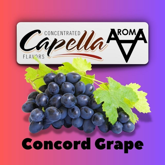 Capella Concord Grape Виноград Конкорд