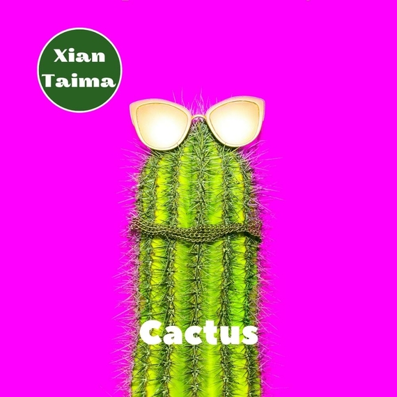 Отзывы на Ароматизтор Xi'an Taima Cactus Кактус