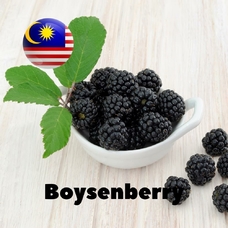 Malaysia flavors "Boysenberry"