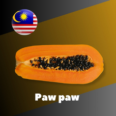 Malaysia flavors "Pawpaw"