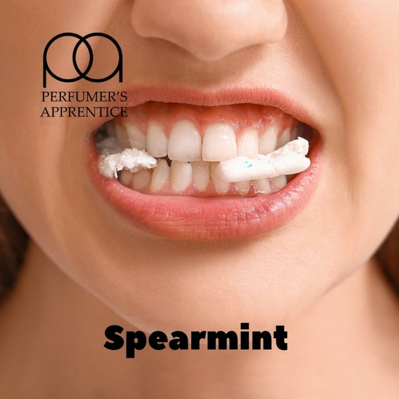 Ароматизаторы для жидкостей TPA Spearmint Мята