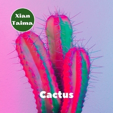 Xi'an Taima "Cactus" (Кактус)
