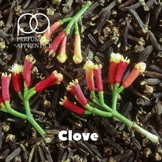 TPA "Clove" (Гвоздика)