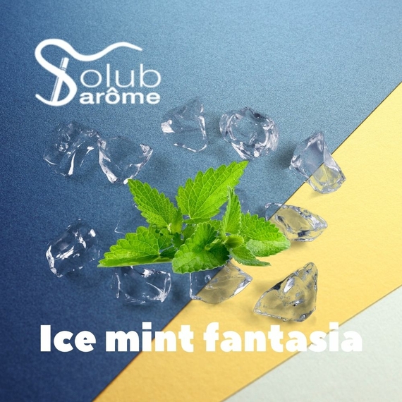 Ароматизатор Solub Arome Ice mint fantasia М'ята ментол та кулер