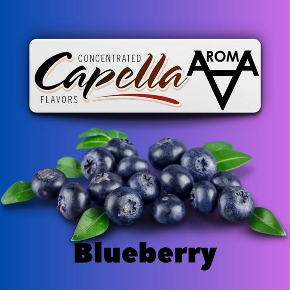 Capella Blueberry Лохина