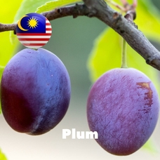 Malaysia flavors "Plum"