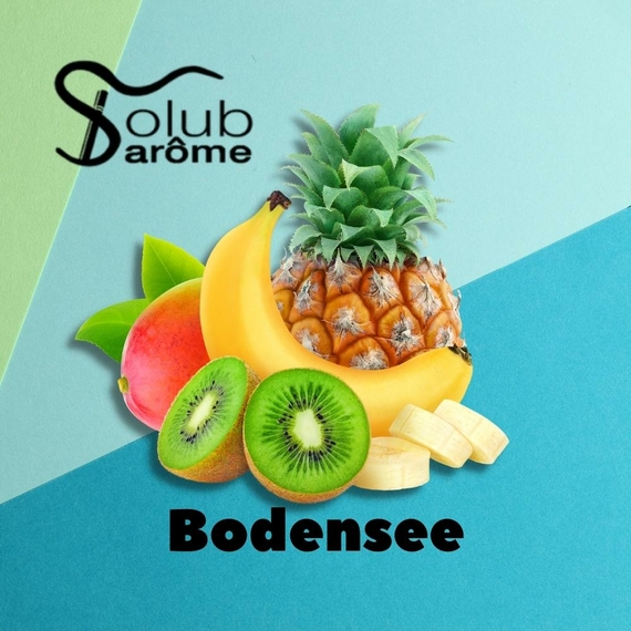 Ароматизатор для самозамеса Solub Arome Bodensee Цитрусовые и экзотические фрукты