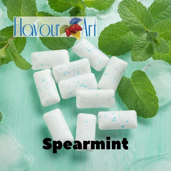 Арома для самозамеса FlavourArt Spearmint Мята