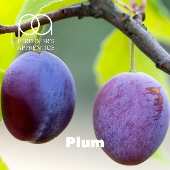 Ароматизатор для самозамеса TPA Plum Сочная слива