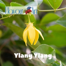 FlavourArt "Ylang Ylang (Иланг-иланг)"